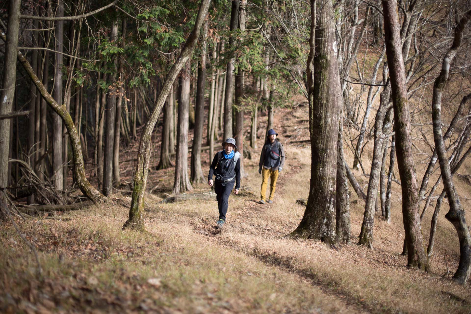 花嫁たちが越えた丹沢の峠道