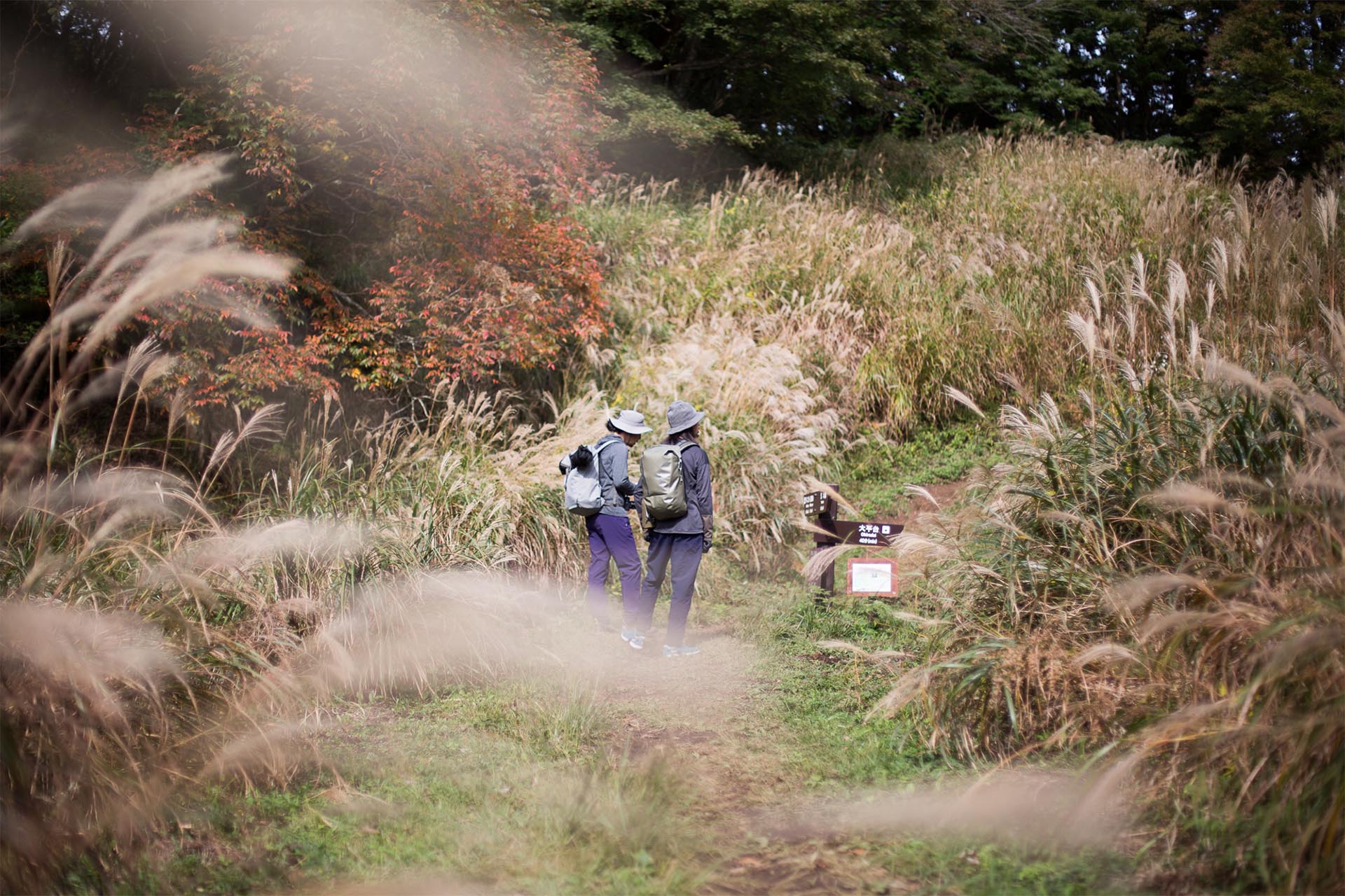 東海道の難所、箱根越えのはしご旅