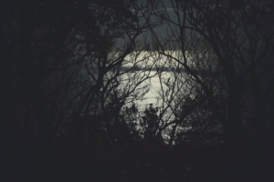 _L2A1114