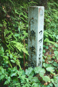 6_L2A2268