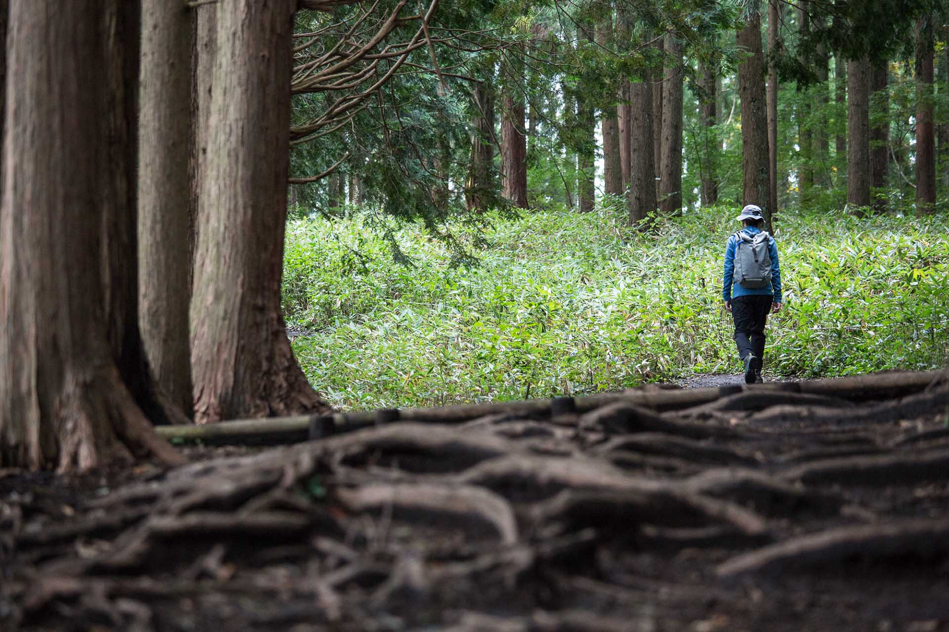 夜の女たちが行き交った甲州裏街道を行く